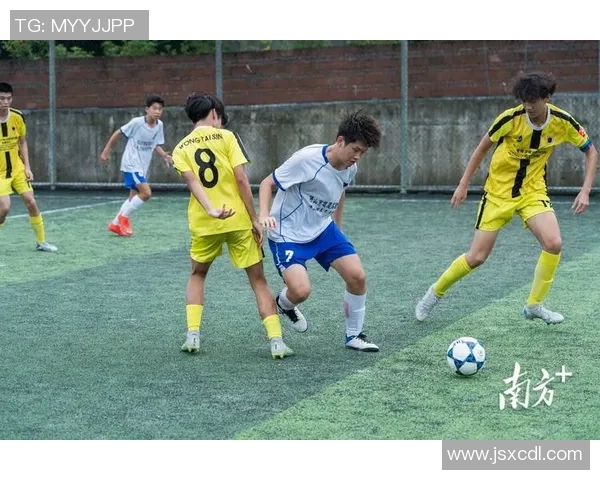 足球遛鸟的奇妙结合让我们在绿茵场上感受生活的乐趣与自然的和谐